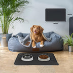 Silicone Pet Feeding Mat Tray