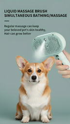 Pet Spray Hair Comb