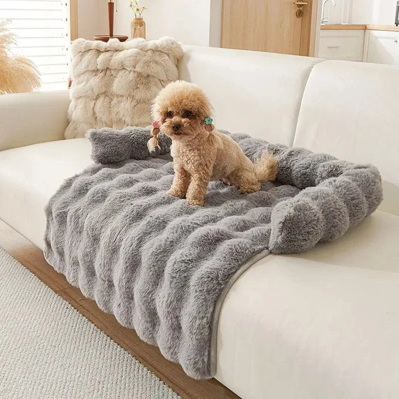 Dog Beds for Large Dogs