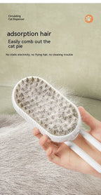 Steam Brush