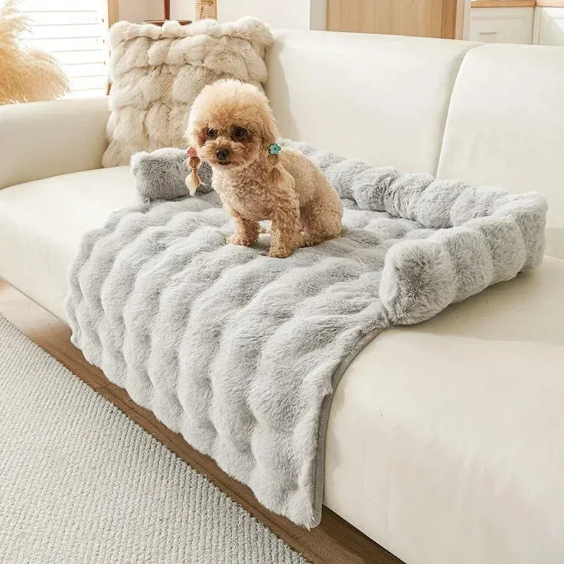 Dog Beds for Large Dogs