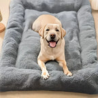 Warm Dog Sofa Bed